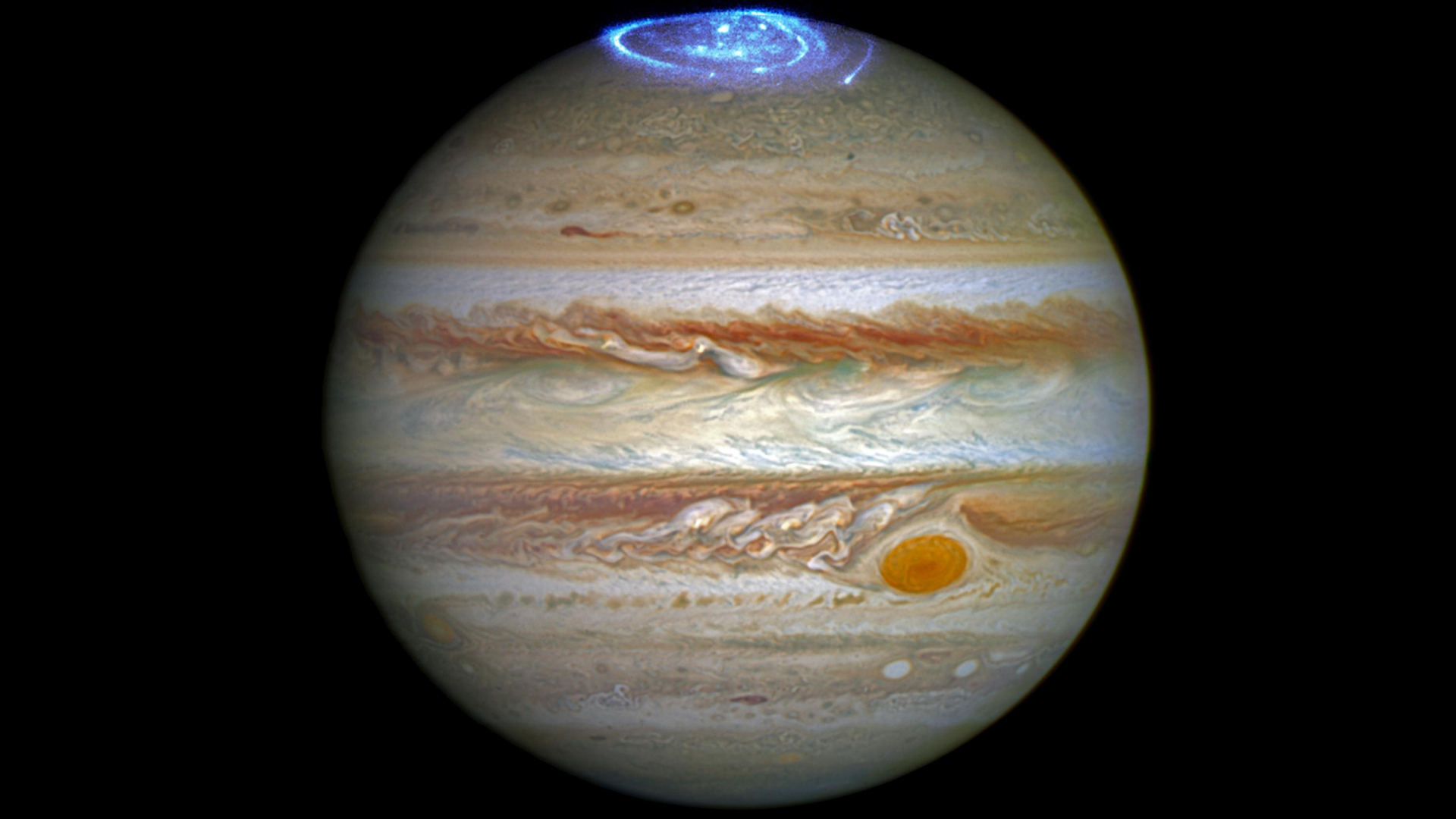 All you need to know about Jupiter Grades